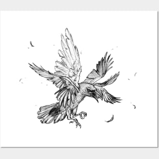 Mutated Crow - Pencil Dark Magic Art Drawing Posters and Art